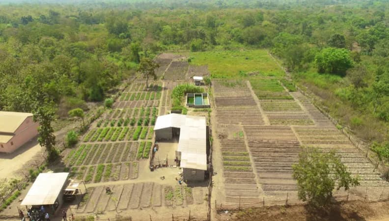 Bénin : l'AFD finance le programme ProFAR pour la formation agricole