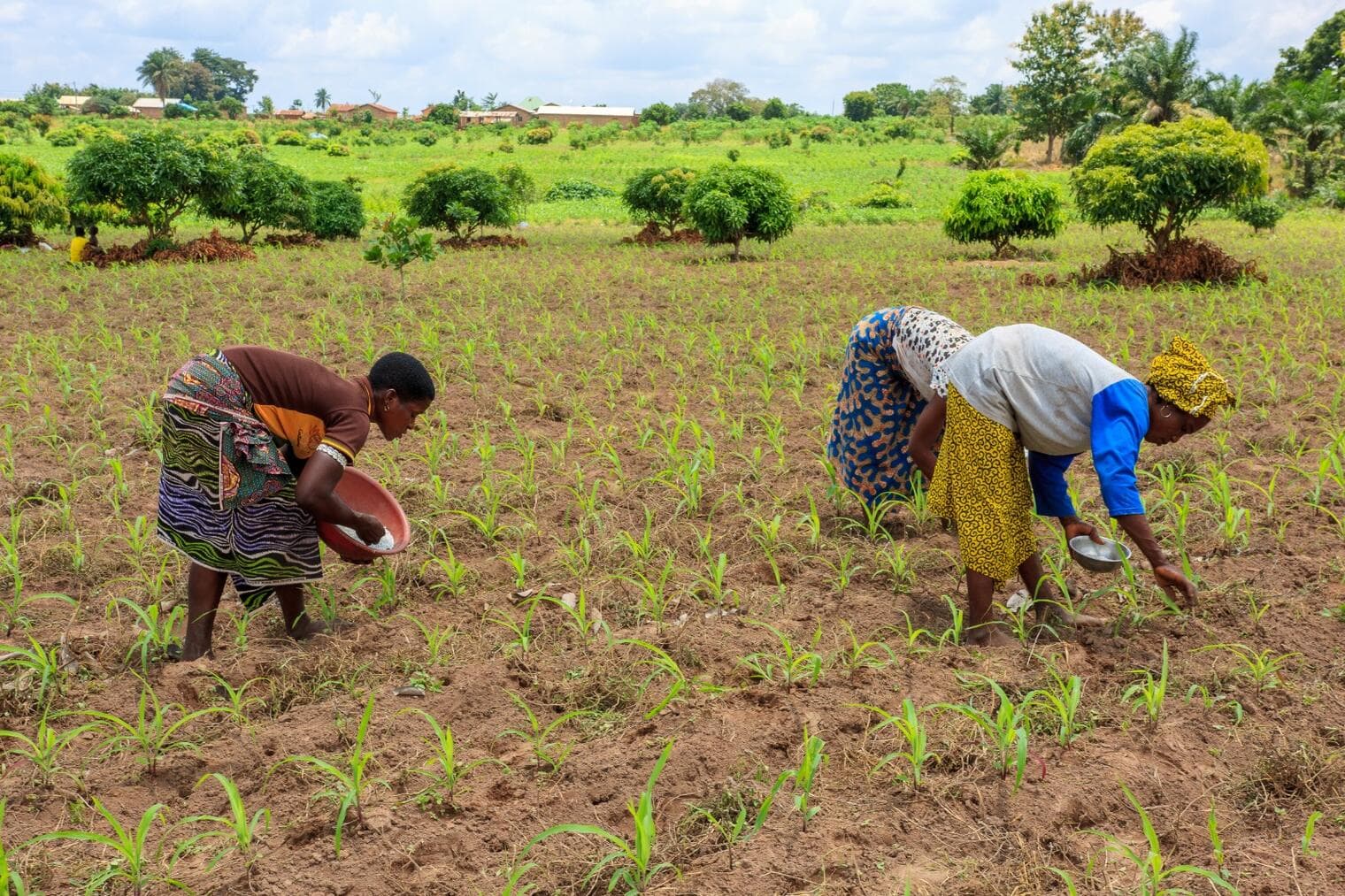 Bénin : tournée d'évaluation agricole dans dix communes du Sud