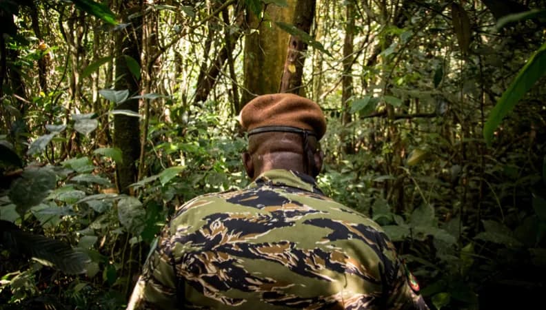 Côte d'Ivoire : la phase 3 du projet Makoré sécurise 192 000 hectares